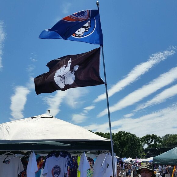 ZJD Grateful Dead Cubs inspired Chicago Flag Tailgate Banner 3x5' Tapestry Wall - Picture 5 of 6